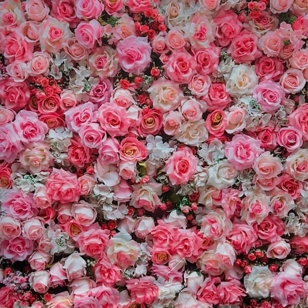 Floral Bloom